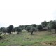 FARMHOUSE TO BE RENOVATED WITH LAND FOR SALE IN LAPEDONA, SURROUNDED BY SWEET HILLS IN THE MARCHE province in the province of Fermo in the Marche region in Italy in Le Marche_23